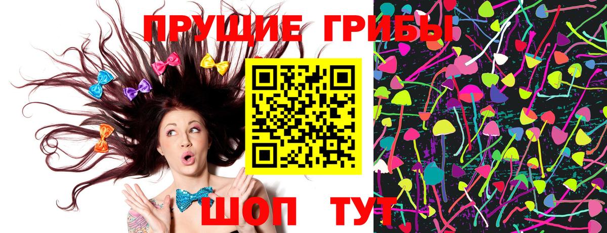 Галлюциногенные грибы Cubensis Сальск