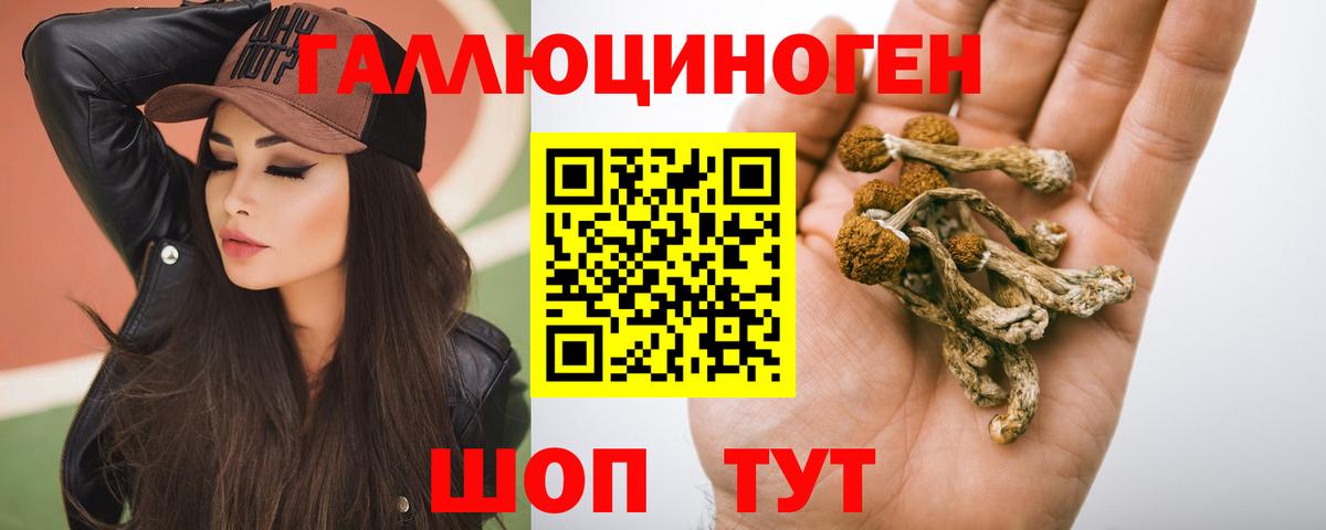 Галлюциногенные грибы прущие грибы  Вход с VPN  Сальск 